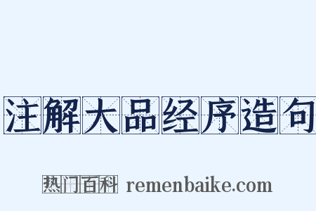 注解大品经序造句是什么意思的图片